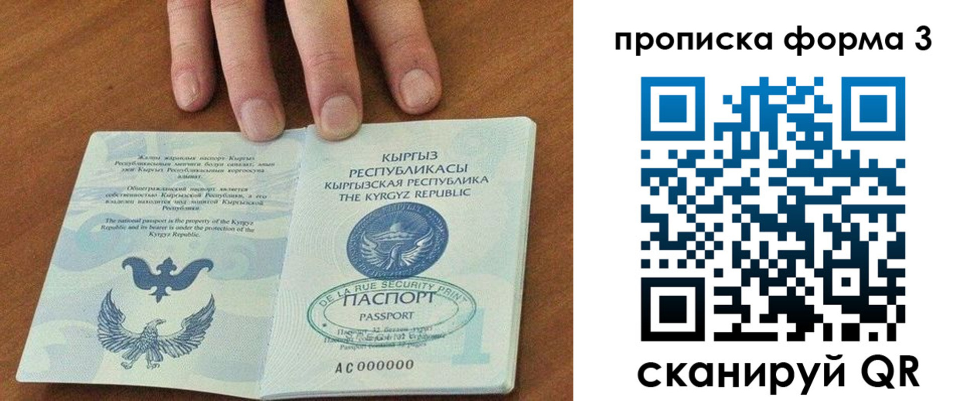 прописка 2025 в Тульской области
